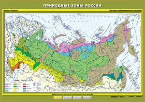 Учебн. карта "Природные зоны России" 100х140